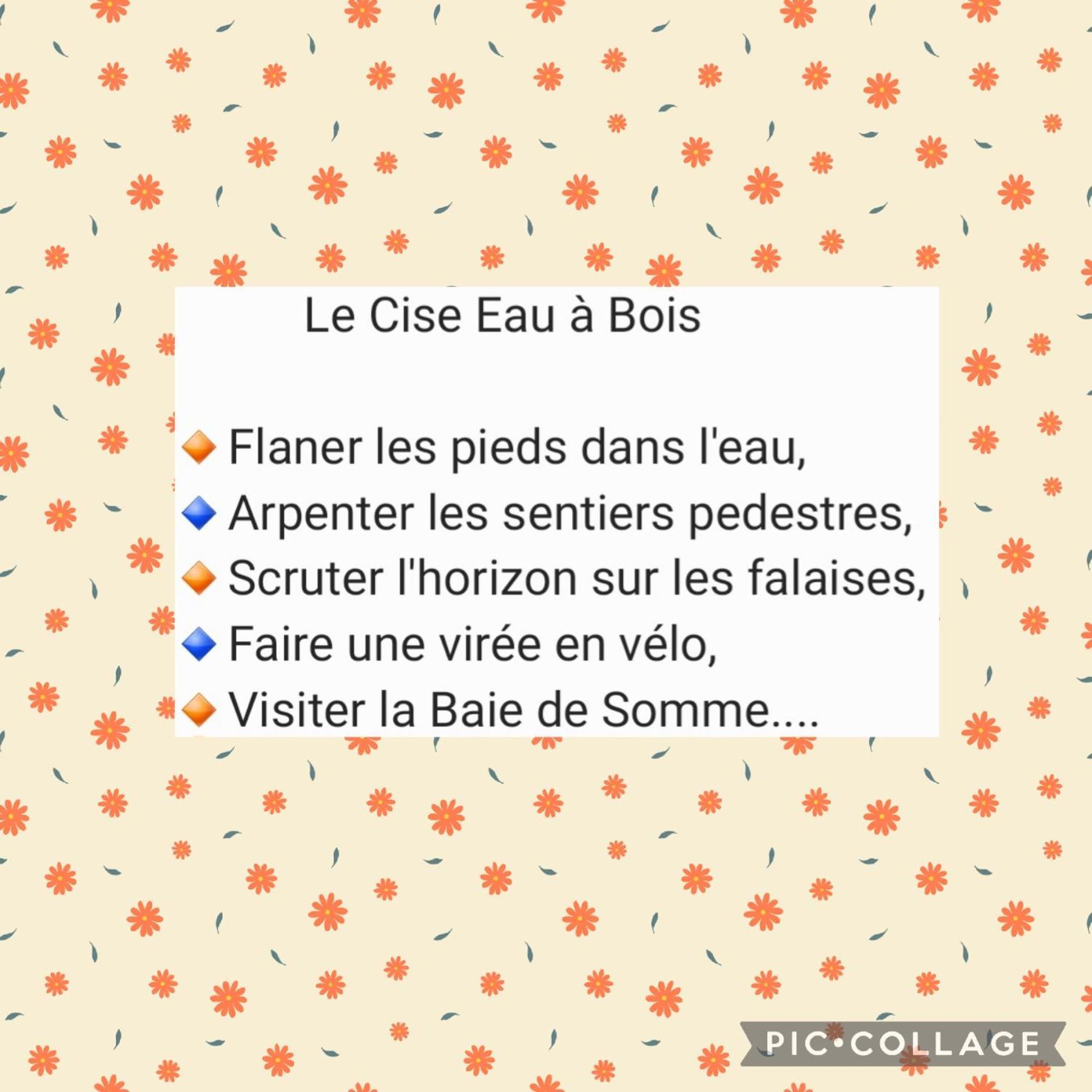 Le Cise Eau A Bois Apartment Le Bois de Cise Room photo
